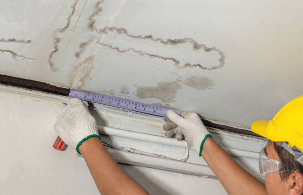 Reliable Water Damage contractor in Athens, WV by Water Damage Irwin